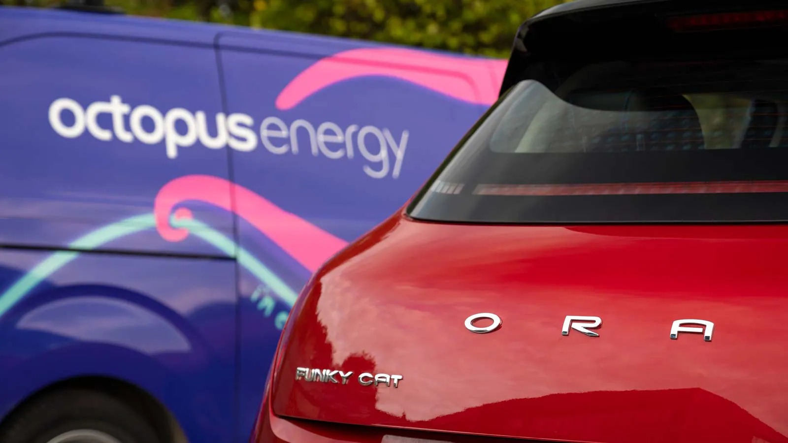 ORA Funky Cat and Octopus Energy logo